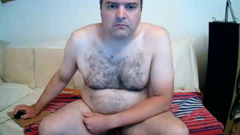bear037 online show from August 2026 06:56:01 AM