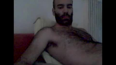 bear14250949 online show from November 2025 08:05:02 AM