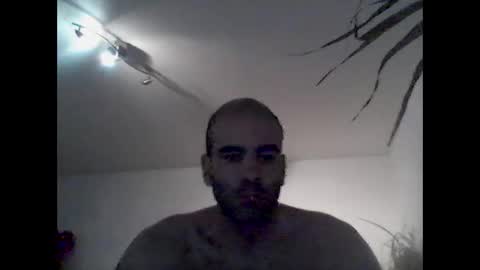 bear14250949 online show from December 2025 09:05:02 AM