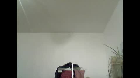 bear14250949 online show from February 2026 06:55:02 PM