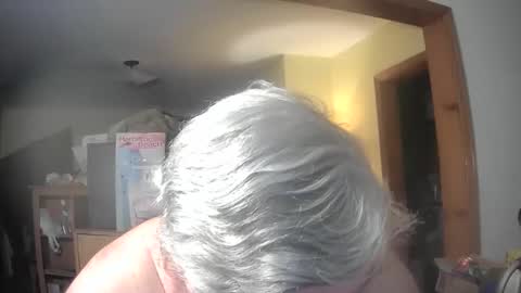 bear online show from May 2026 04:30:02 AM