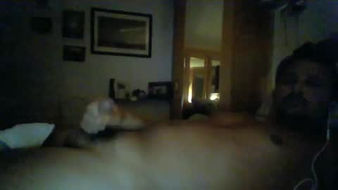 bearboudior online show from January 2025 12:22:01 AM