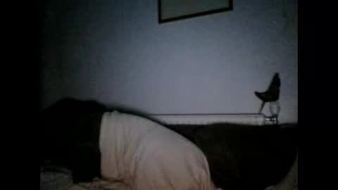 Snapshot of beatlebut chatting on October 2025 06:25:02 PM beatlebut online show from October 2025 06:25:02 PM