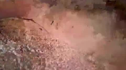 beautifulpeople23 online show from March 2026 11:32:01 AM