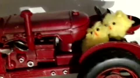 Raluca online show from September 2025 06:24:01 PM