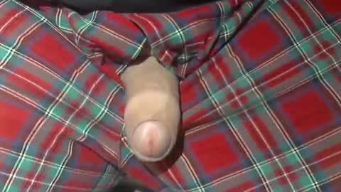 Snapshot of beer27 chatting on October 2025 10:05:02 AM Reservoir Dogs online show from October 2025 10:05:02 AM