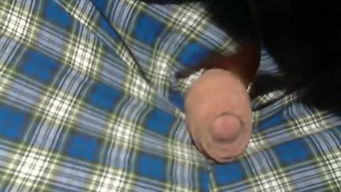 Snapshot of beer27 chatting on November 2025 09:06:01 PM Reservoir Dogs online show from November 2025 09:06:01 PM