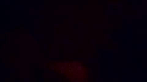 beesexy47 online show from December 2025 04:29:02 AM