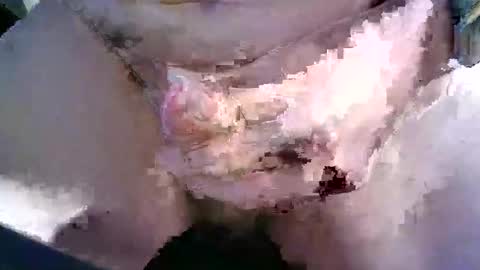 behn1983 online show from March 2026 10:48:02 AM