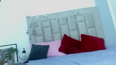 bella_fox723 online show from February 2026 06:22:01 AM