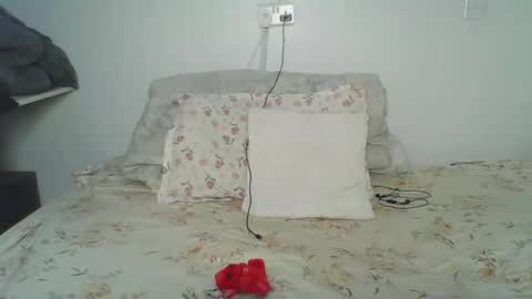 Snapshot of bellah8 chatting on February 2026 05:49:01 AM bellah online show from February 2026 05:49:01 AM