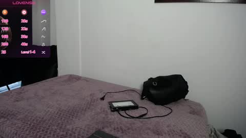 Snapshot of bellaodisea chatting on January 2025 01:09:01 PM online show from January 2025 01:09:01 PM