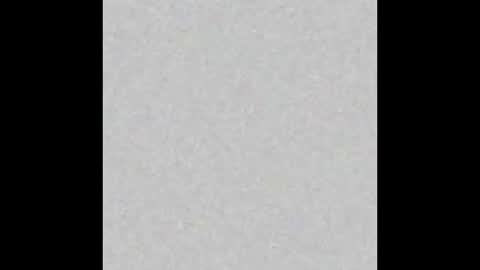 Bella online show from February 2026 11:14:01 AM