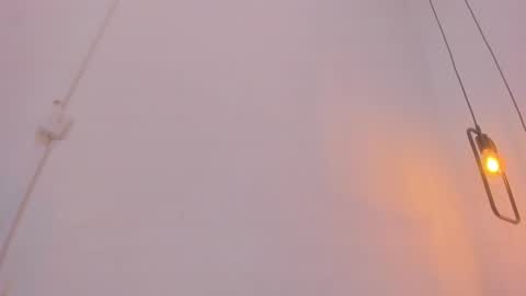 Snapshot of bellota_flak chatting on December 2024 08:26:02 AM Bellota Flak online show from December 2024 08:26:02 AM