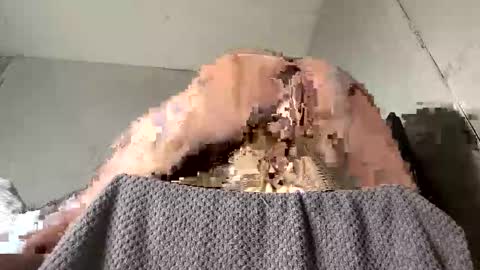 bemysecrett online show from May 2026 10:04:02 PM