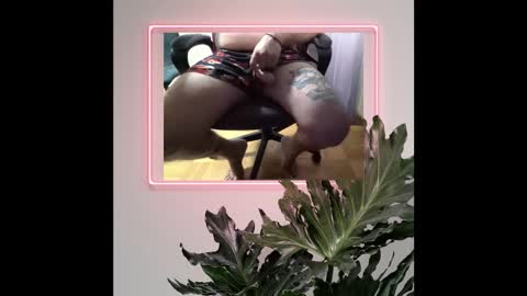 Mr. Bcum online show from February 2026 07:02:02 AM