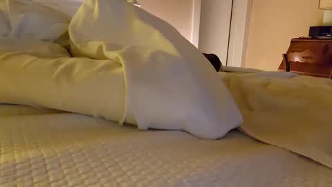 Snapshot of bentpilot chatting on December 2025 11:50:01 AM bentpilot online show from December 2025 11:50:01 AM