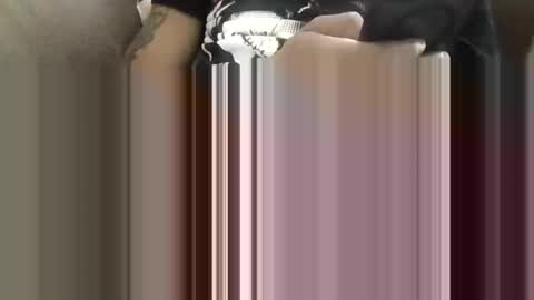 ToxicPipe757 online show from May 2026 04:04:01 PM
