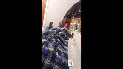 bertpace9296 online show from May 2026 03:34:01 AM
