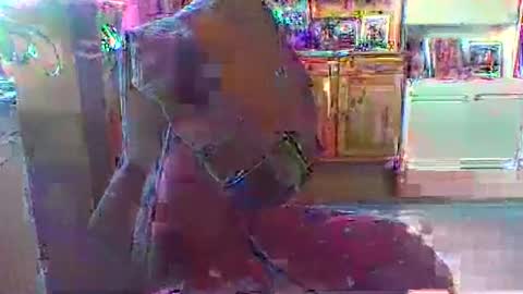 bestmann979994 online show from March 2026 04:20:01 PM