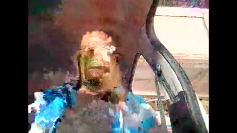 Cock arabic Authentic online show from November 2025 11:09:02 AM