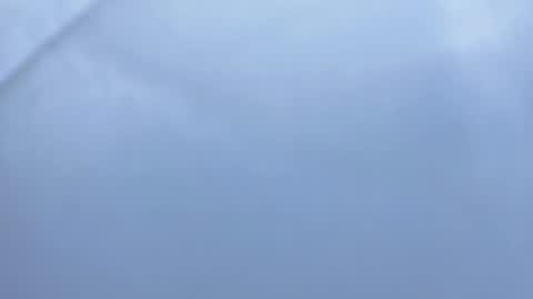 Betty online show from November 2025 02:07:02 PM