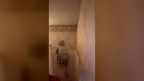 bezerk_bray online show from June 2026 02:16:01 AM