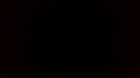 bi0390 online show from December 2025 10:00:01 AM