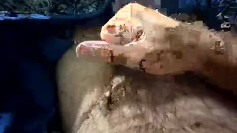 Snapshot of big88385909 chatting on October 2025 12:11:01 AM big88385909 online show from October 2025 12:11:01 AM