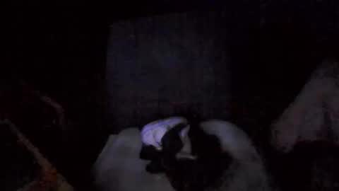 Snapshot of big_davis4 chatting on November 2025 12:42:01 PM big_davis4 online show from November 2025 12:42:01 PM