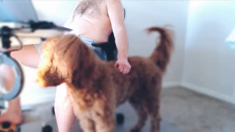 Alcide Herveaux online show from February 2026 05:00:01 PM