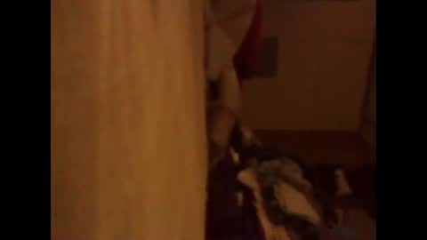 BB online show from November 2025 03:05:01 AM