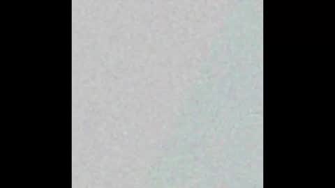 bigbobom online show from September 2025 10:04:02 PM