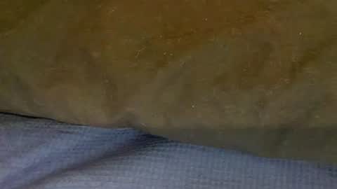 bigboii842 online show from November 2025 04:36:01 PM