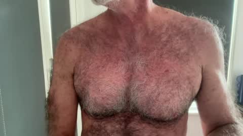 big bush online show from June 2026 01:19:02 AM