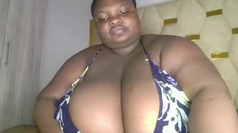 bigchocotities online show from February 2026 01:38:02 PM