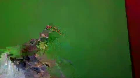 TheSexDistrict online show from December 2024 01:31:02 AM