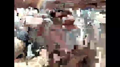 Snapshot of bigdaddy1231995 chatting on September 2025 06:41:02 PM BigDaddykodack online show from September 2025 06:41:02 PM