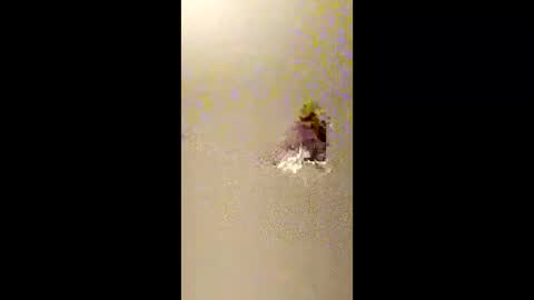 bigdaddydongarlets391292 online show from February 2026 10:44:02 AM