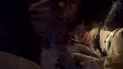 bigdaddysmoke69 online show from November 2025 10:54:01 PM