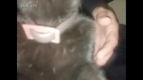 Snapshot of bigdick666cm chatting on February 2026 02:34:02 AM Big online show from February 2026 02:34:02 AM