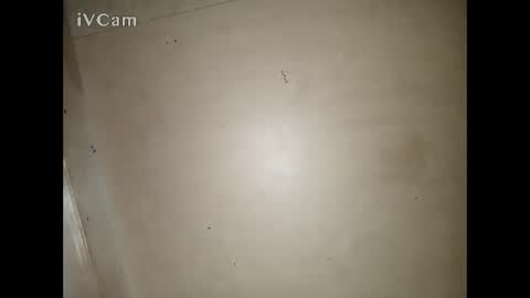 Snapshot of bigdick666cm chatting on March 2026 03:29:01 PM Big online show from March 2026 03:29:01 PM