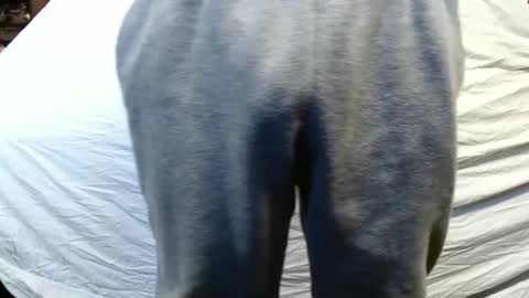 Snapshot of bigdickdaddy567130413 chatting on January 2025 05:47:02 PM bigdickdaddy567130413 online show from January 2025 05:47:02 PM