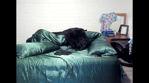 bigdickpiercedtattoos online show from October 2025 10:15:01 AM