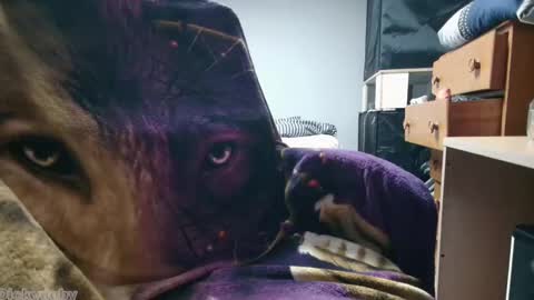 Snapshot of bigdickyduby chatting on November 2025 02:01:02 AM George Forest Dickyduby on all Socials online show from November 2025 02:01:02 AM