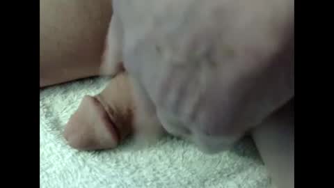 bigdipper58 online show from February 2025 05:18:02 PM