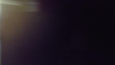 Snapshot of bigdoglog chatting on January 2025 04:52:02 AM BigDog online show from January 2025 04:52:02 AM