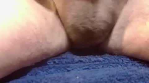 Snapshot of bigdoglog chatting on February 2025 02:26:02 PM BigDog online show from February 2025 02:26:02 PM