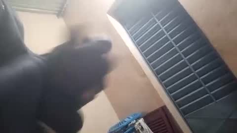 black man online show from January 2026 01:42:02 AM