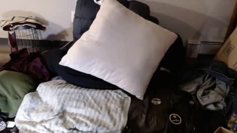 Snapshot of bigfeet420 chatting on January 2025 07:46:02 AM Bigandthick online show from January 2025 07:46:02 AM